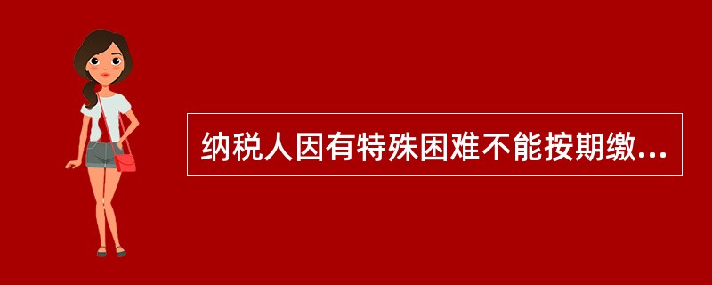 纳税人因有特殊困难不能按期缴纳税款，申请延期缴纳税款的，有审批权的是（）。