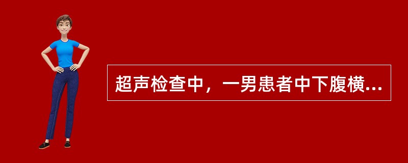 超声检查中，一男患者中下腹横切面如图，箭头所示器官为()