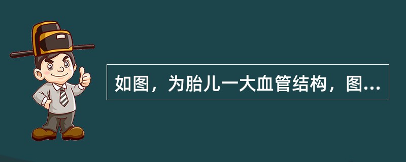 如图，为胎儿一大血管结构，图中为弧形并可见分支的管道结构称为______。