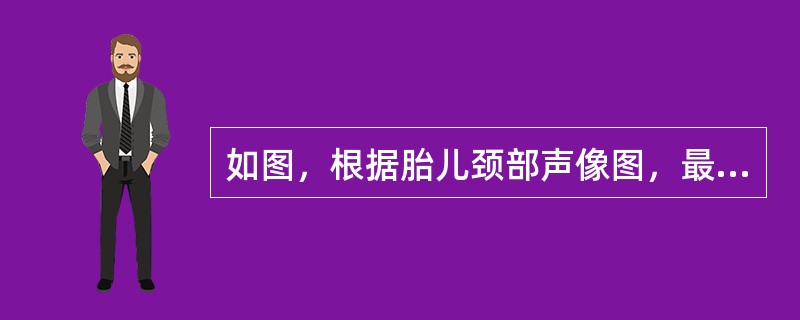 如图，根据胎儿颈部声像图，最可能的诊断是()