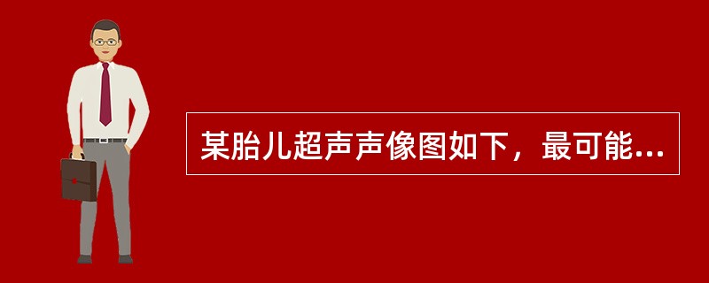 某胎儿超声声像图如下，最可能的诊断为()