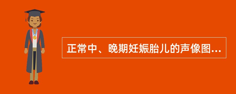 正常中、晚期妊娠胎儿的声像图上可以观察到哪些结构?