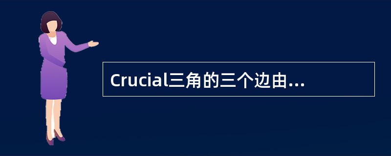 Crucial三角的三个边由哪三个部分构成()