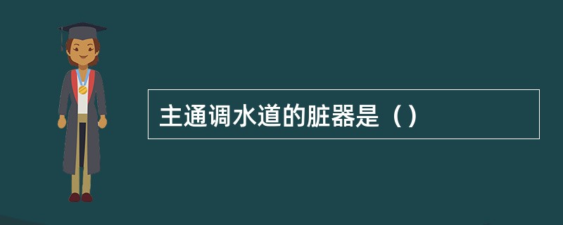 主通调水道的脏器是（）