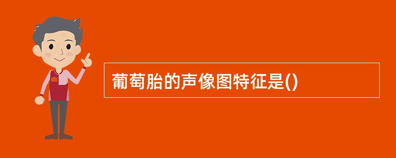 葡萄胎的声像图特征是()