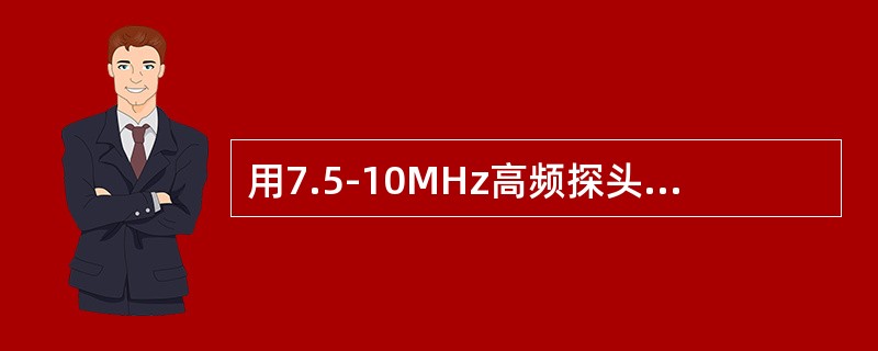 用7.5-10MHz高频探头，探测正常附睾，超声显示()