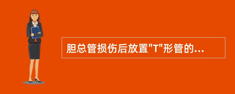 胆总管损伤后放置"T"形管的时间要求是（）。