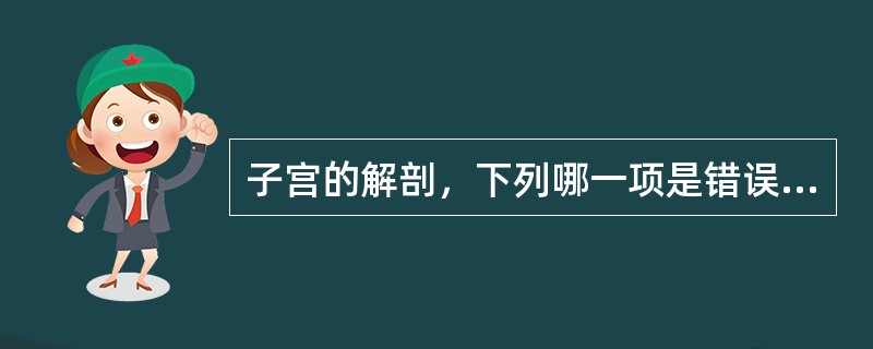 子宫的解剖，下列哪一项是错误的()