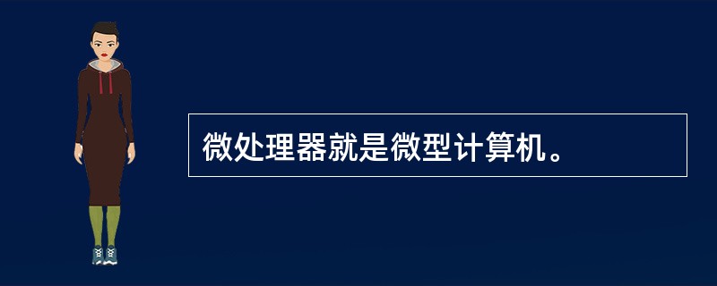 微处理器就是微型计算机。