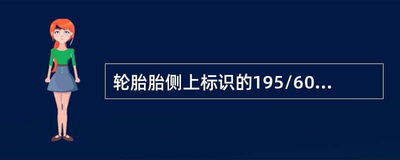 轮胎胎侧上标识的195/60R1486H，其中的H字母表示轮胎的（）。