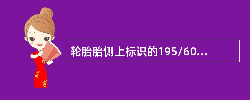 轮胎胎侧上标识的195/60R1486H说明什么？