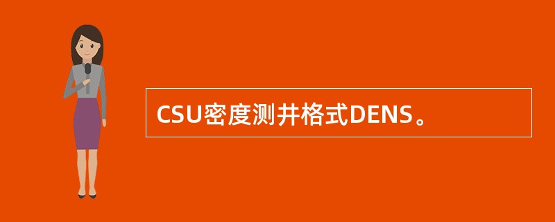 CSU密度测井格式DENS。