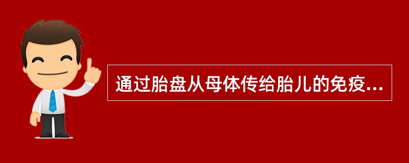 通过胎盘从母体传给胎儿的免疫球蛋白是（）。