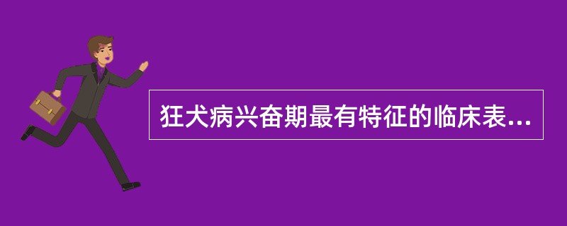 狂犬病兴奋期最有特征的临床表现是（）