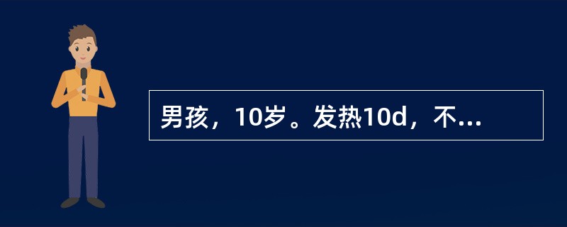 男孩，10岁。发热10d，不咳、纳差、便秘。体检：体温39．6℃，神萎。咽微红，