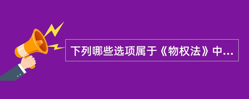 下列哪些选项属于《物权法》中规定的可以用于质押的财产：（）