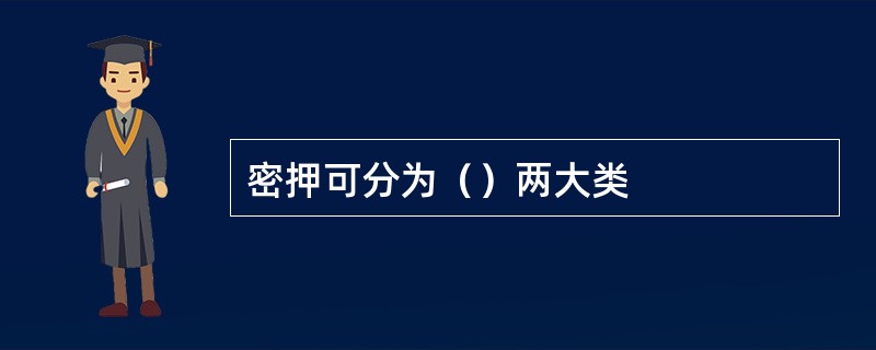 密押可分为（）两大类