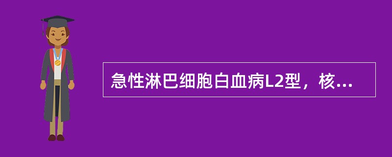 急性淋巴细胞白血病L2型，核仁最重要的特点是（）.