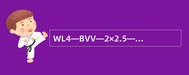 WL4—BVV—2×2.5—G15—CE线路标注的含义是（）。