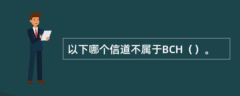 以下哪个信道不属于BCH（）。