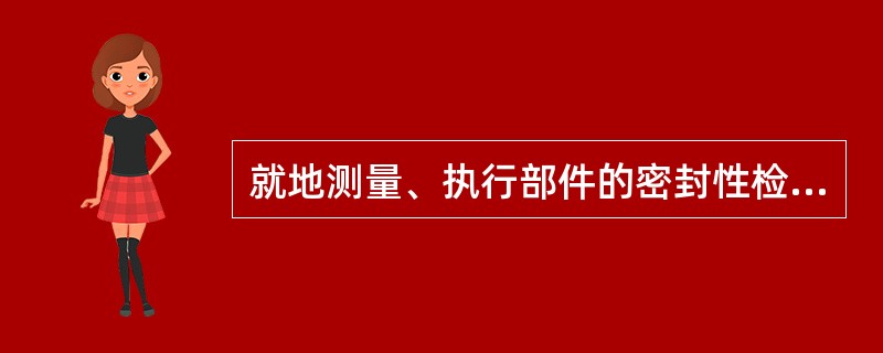 就地测量、执行部件的密封性检查项目有（）.