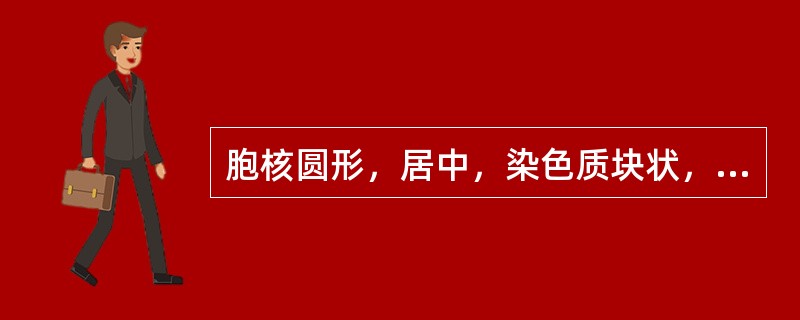 胞核圆形，居中，染色质块状，核仁消失，胞质多色性（）