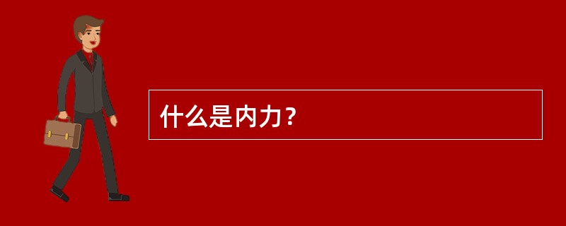 什么是内力？