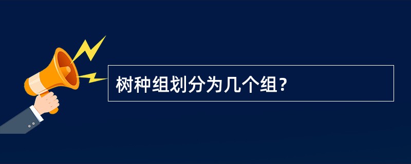 树种组划分为几个组？