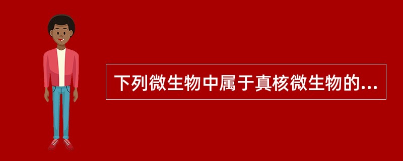 下列微生物中属于真核微生物的是（）。