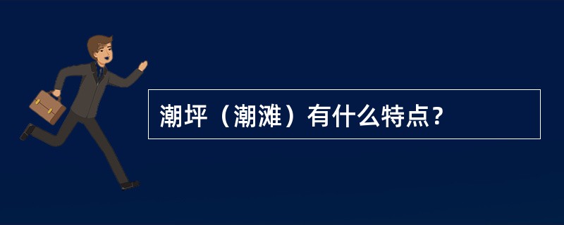 潮坪（潮滩）有什么特点？