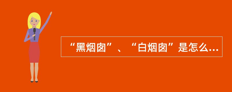 “黑烟囱”、“白烟囱”是怎么回事？