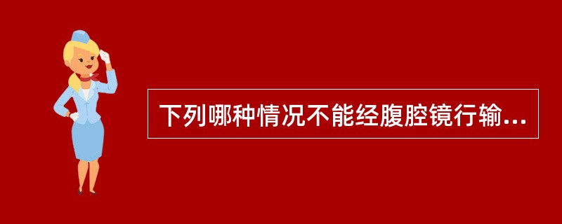 下列哪种情况不能经腹腔镜行输卵管绝育术而能经腹行输卵管绝育术()