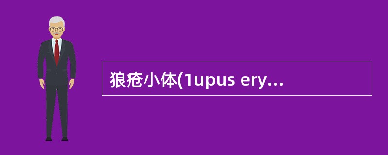 狼疮小体(1upus erythematosus bodies LE)