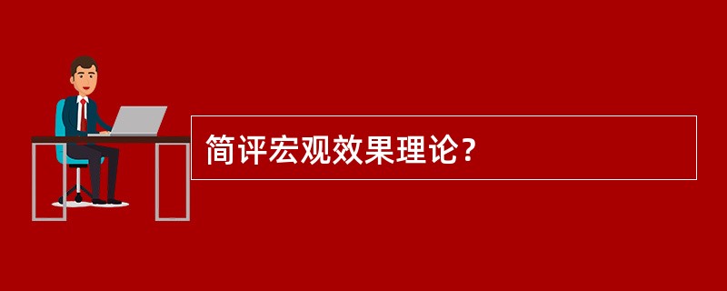 简评宏观效果理论？