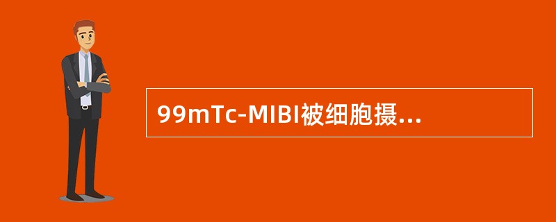 99mTc-MIBI被细胞摄取后，主要聚集于（）