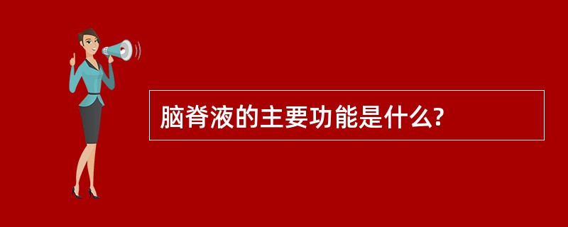 脑脊液的主要功能是什么?