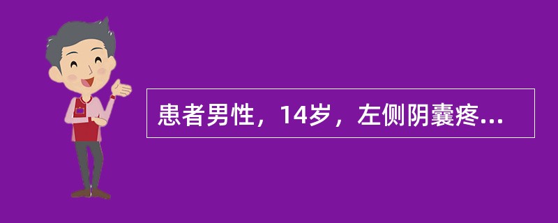 患者男性，14岁，左侧阴囊疼痛不适10小时余，初为隐痛，逐渐加重转化为持续性疼痛