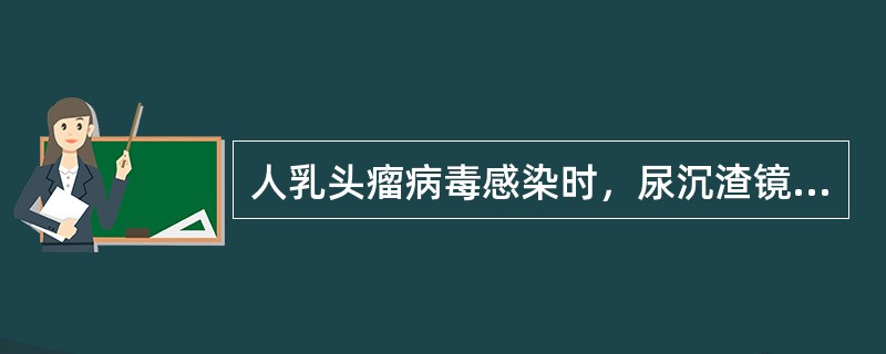 人乳头瘤病毒感染时，尿沉渣镜检可见到的特征细胞是()