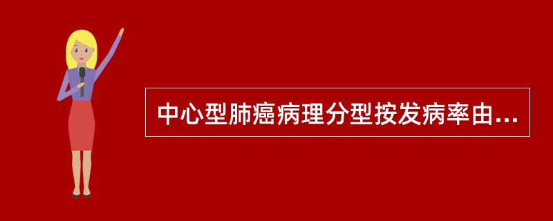 中心型肺癌病理分型按发病率由多到少排列，哪项正确？（）