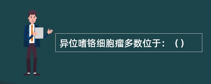 异位嗜铬细胞瘤多数位于：（）