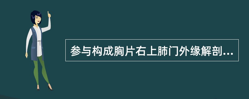 参与构成胸片右上肺门外缘解剖结构的是：（）