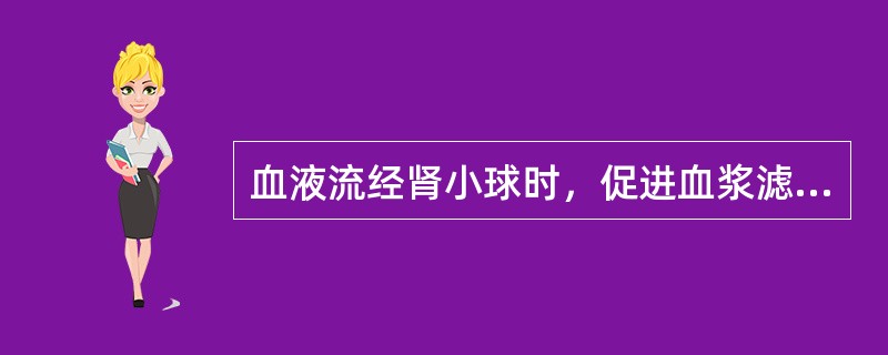 血液流经肾小球时，促进血浆滤出的直接动力是（）。