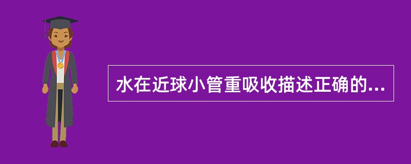 水在近球小管重吸收描述正确的是（）。