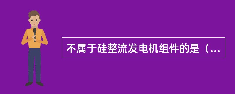 不属于硅整流发电机组件的是（）。