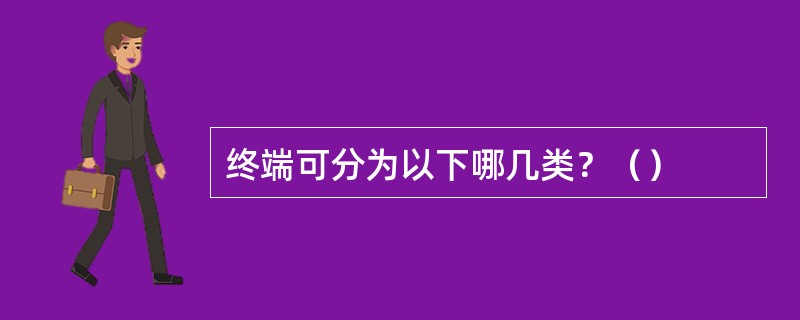 终端可分为以下哪几类？（）