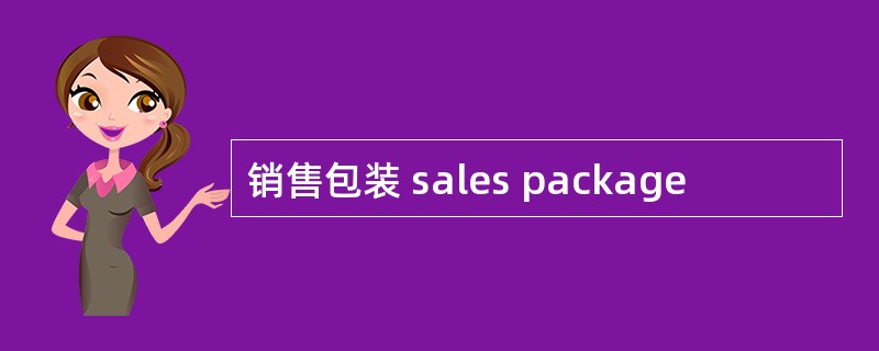 销售包装 sales package