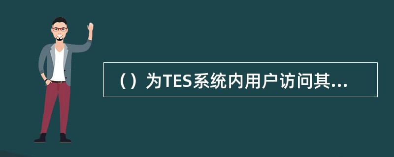 （）为TES系统内用户访问其他网络用户提供接口，相当于TES网络的出入口。