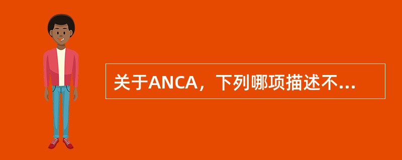 关于ANCA，下列哪项描述不正确（）。