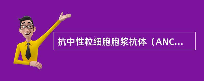 抗中性粒细胞胞浆抗体（ANCA）阳性小血管炎常见的肾脏病理表现为（）