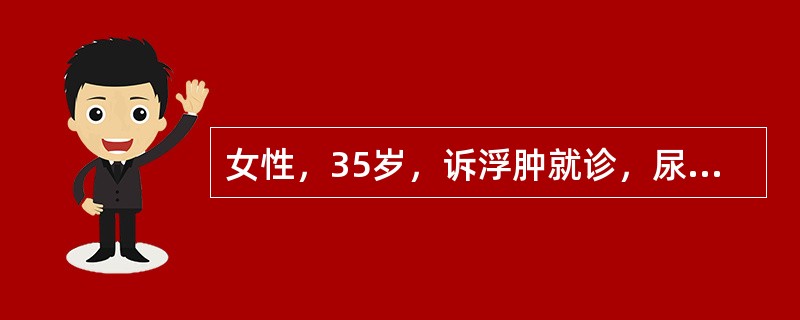 女性，35岁，诉浮肿就诊，尿液检查蛋白（＋），红细胞5～10个／HP，白细胞2～